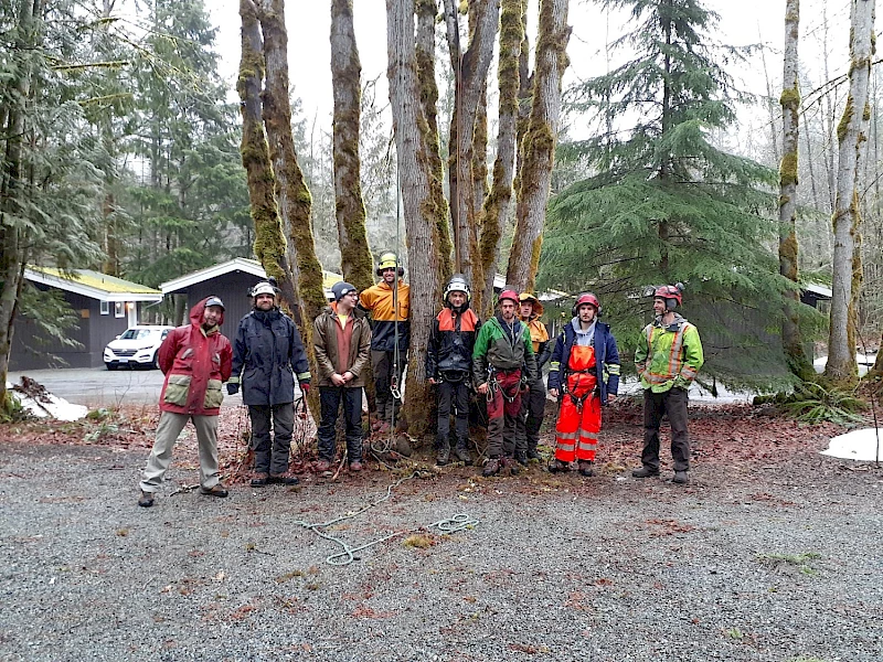 Silverback Treeworks