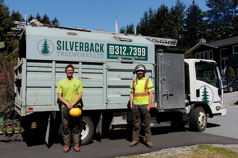 Silverback Treeworks