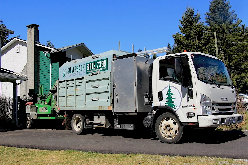 Silverback Treeworks